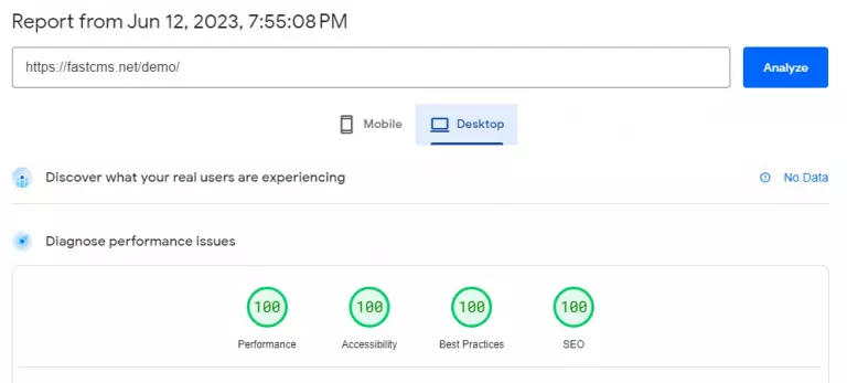 Google Insights Page Speed Score Desktop