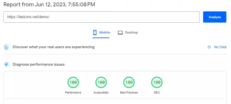 Google Insights Page Speed Score Mobile